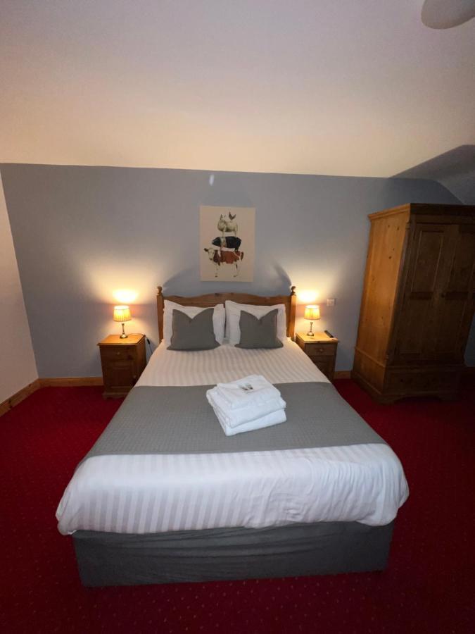 Dingle Marina Lodge Exterior foto