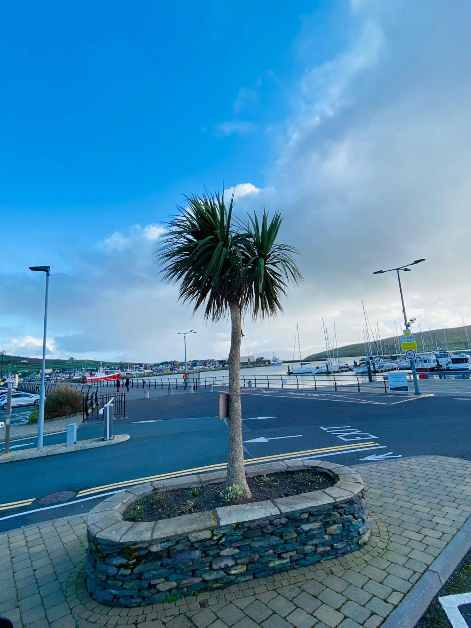 Dingle Marina Lodge Exterior foto